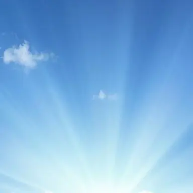Profile image of 대천사