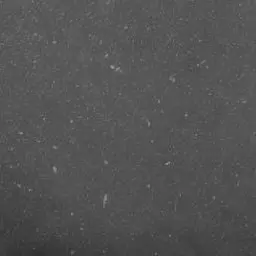 ShabbyRock5226의 ピラフ星人とのシェアハウス…？！