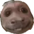 김뫌륑