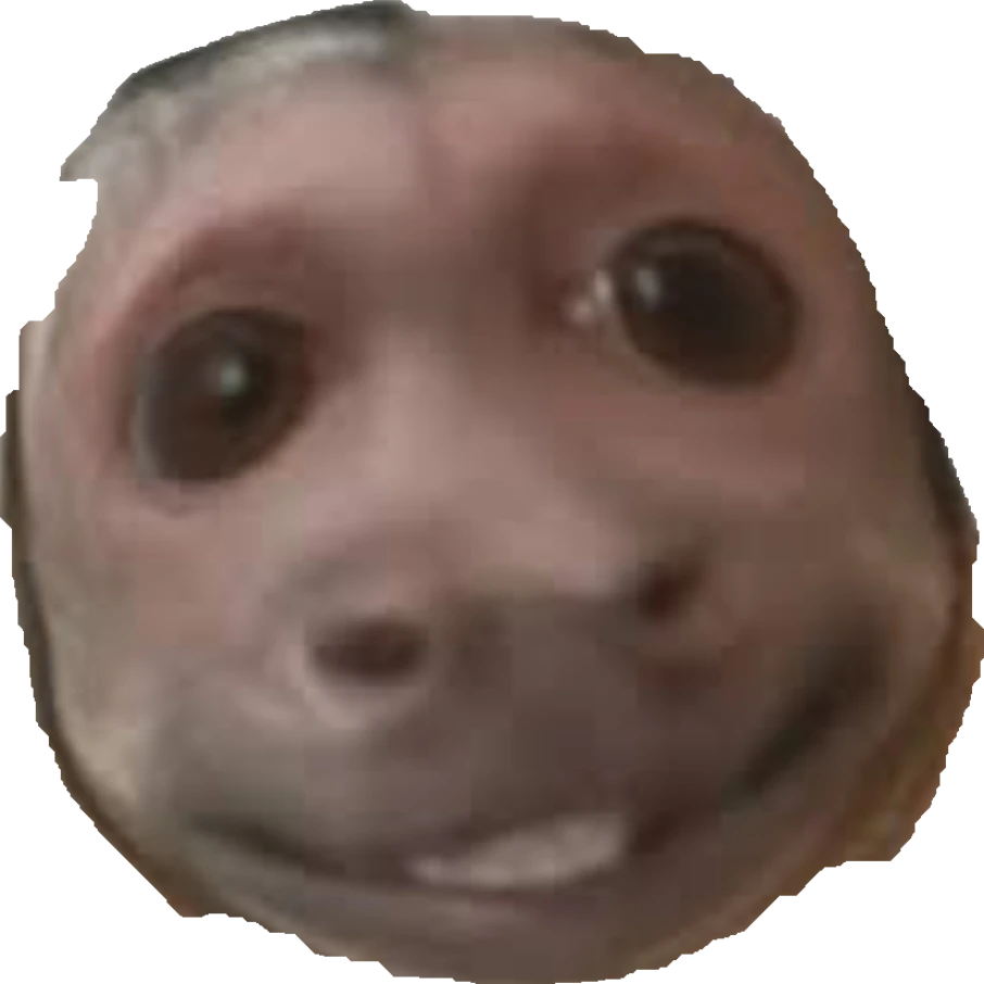 김뫌륑