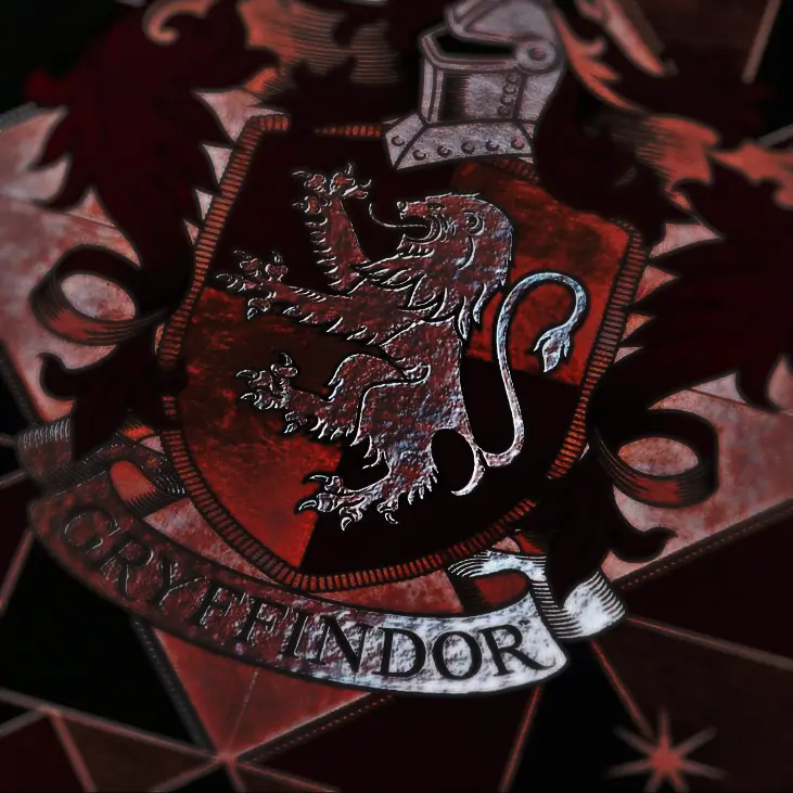 Zxcvmnnn의 Sirius Black