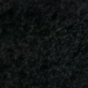 speedinghamster의 나재민