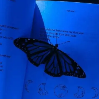 Profile image of 파이브