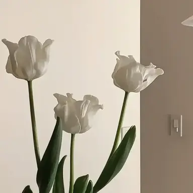 Profile image of 김동현