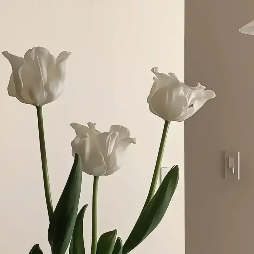 CurvyDrill3697의 ㄱㄷㅎ