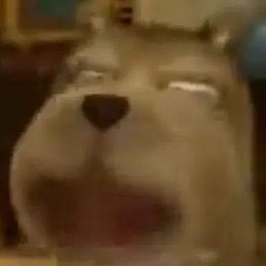 Profile image of 푸코