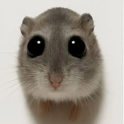 CrazyCamel5310의 대화 시뮬래이션