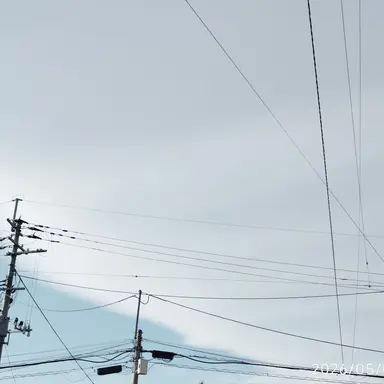 Profile image of ホロライブ