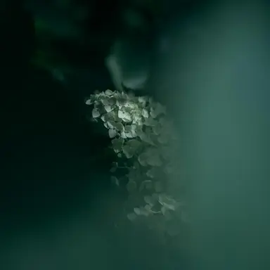 Profile image of ロト