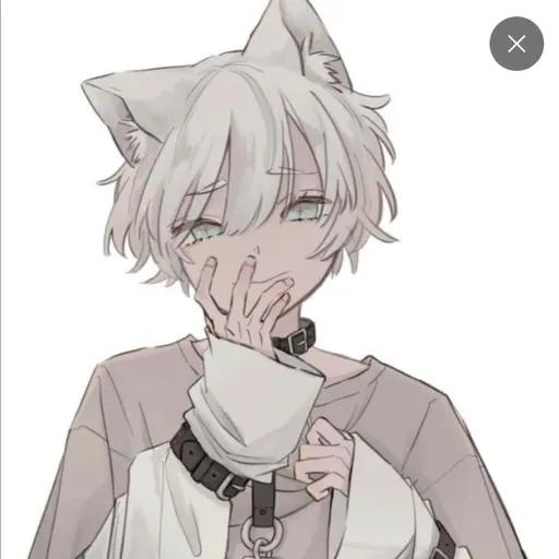 ISTPXA의 하루