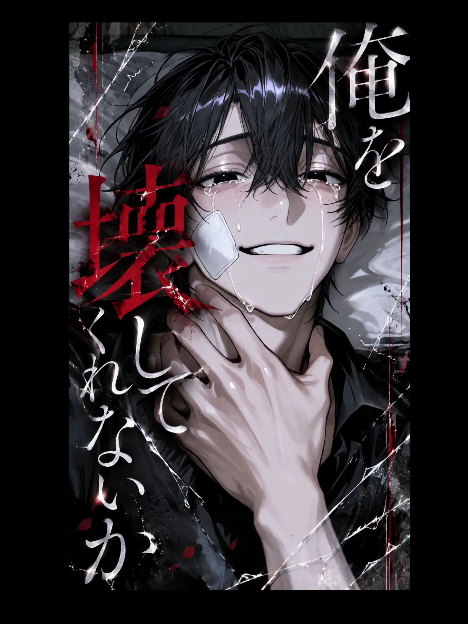 coco_sousaku의 俺を壊してくれないか