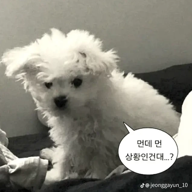 오빠들
