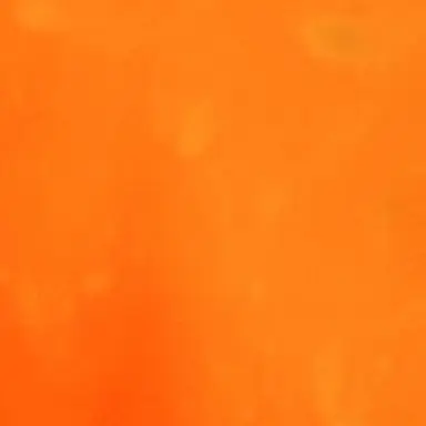 Profile image of Narancia