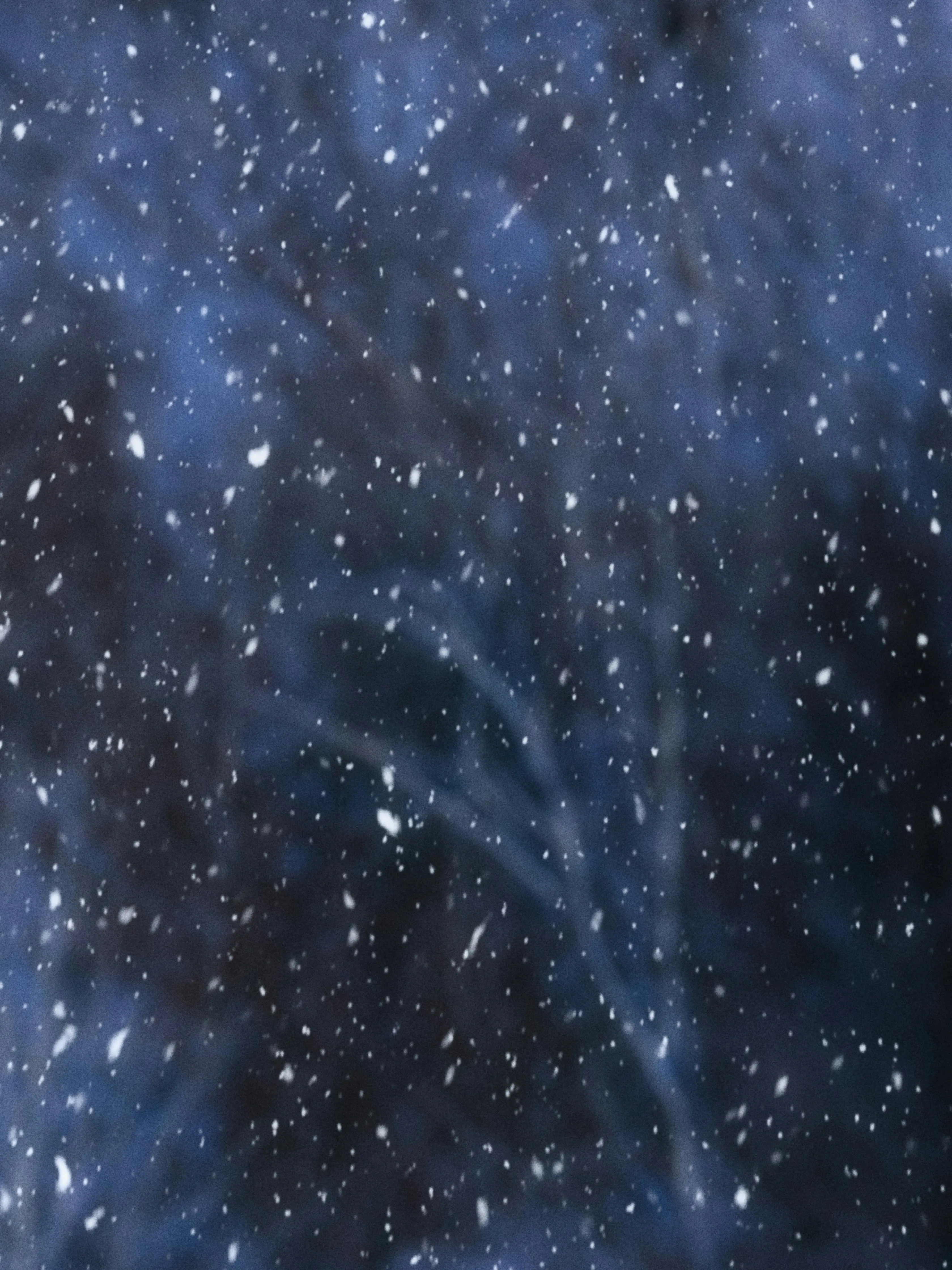 chicchok의 𝙰𝚗𝚝𝚒𝚏𝚛𝚎𝚎𝚣𝚎