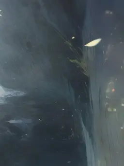 ThickEmoji8744의 뜰팁조직