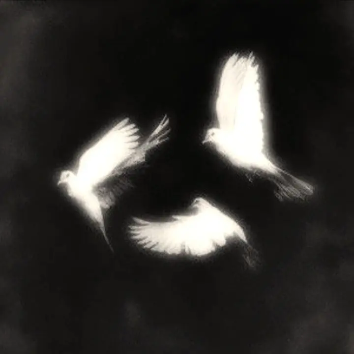 Godungoa의 그대의손끝부터발끝까지빼먹지않고전부