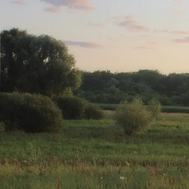 Profile image of 최하린