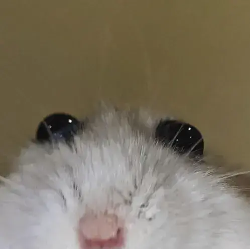 UnfitPiu1450의 Tf141 - more gay content