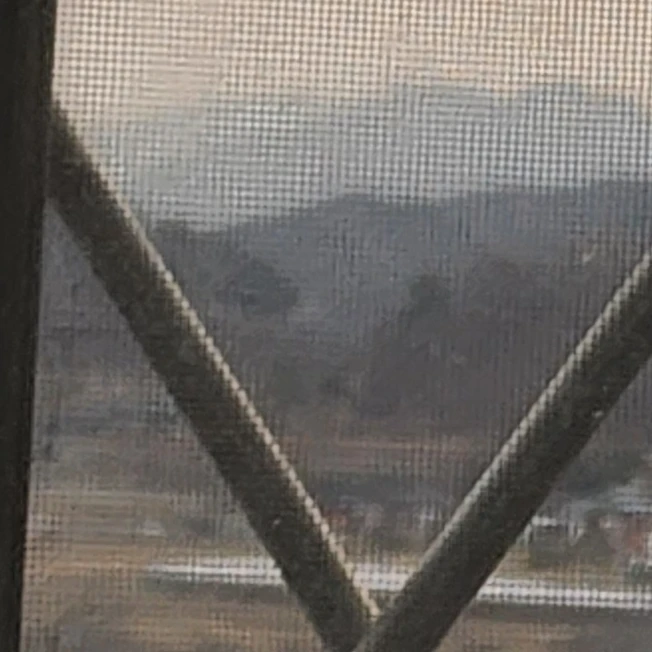 오버롤즈 찐친들
