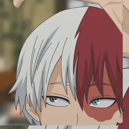 GrimPea4498의 轟　焦凍