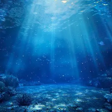 1238854의 水族館の館員さんになって皆をお世話しよう