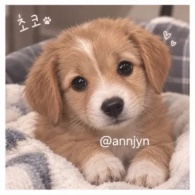 Profile image of 초코