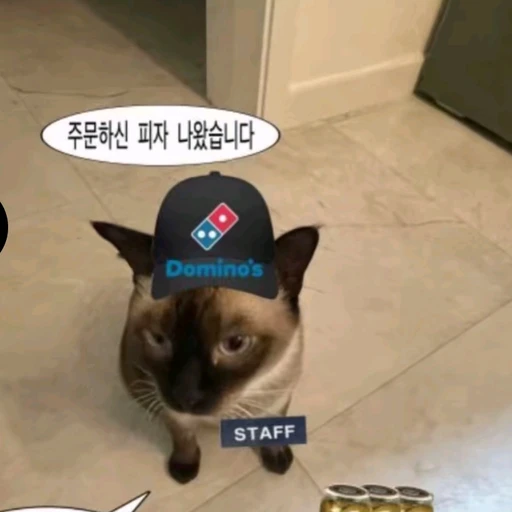 촉이