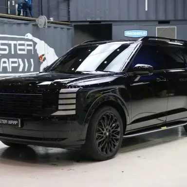 Profile image of 펠리