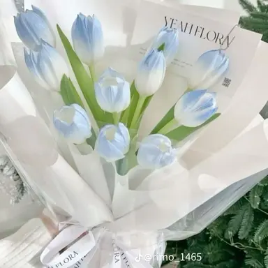 Profile image of 好かれました