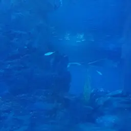 Profile image of 여우연