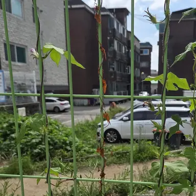 Profile image of 교주