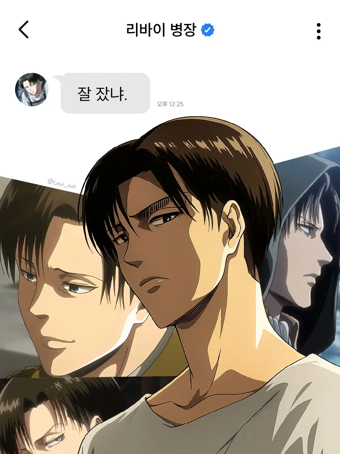Levi_xat의 시그널 ver 리바이