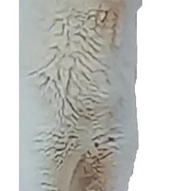 Profile image of 벨키