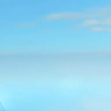 Profile image of 베일리