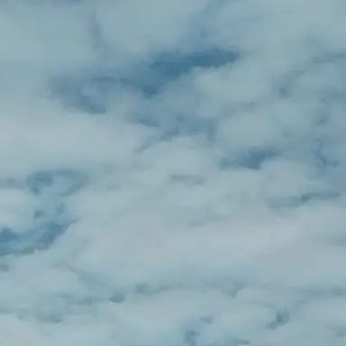 Profile image of 채원