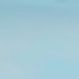 Profile image of 애니