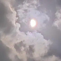 Profile image of 영서