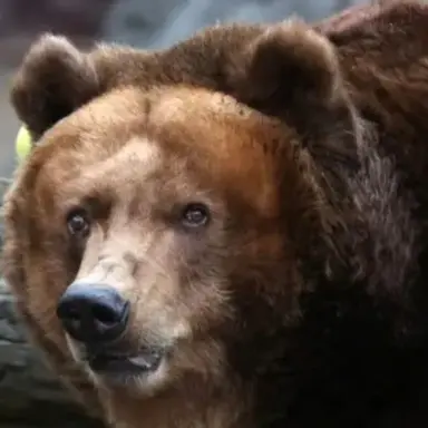 Profile image of 심가온