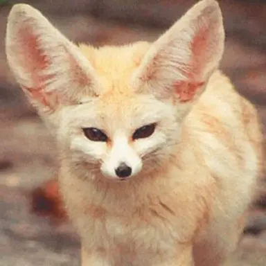 Profile image of 최지유