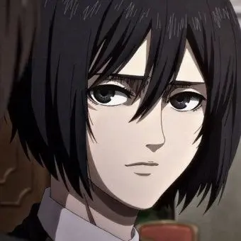 Profile image of 미카사