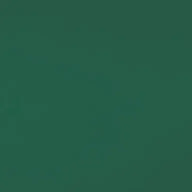 Profile image of 善法寺伊作