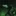 scp 682