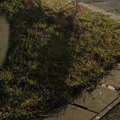 Profile image of 木村良平