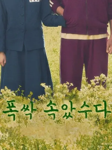 ha2x.ng의 폭싹 속았수다