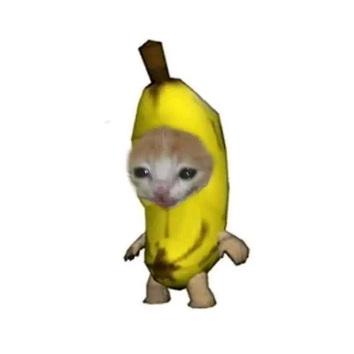 MochiHye의 EN-