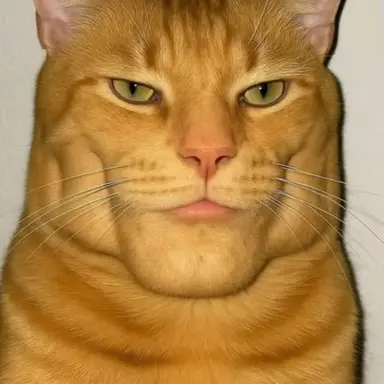 Profile image of 여우