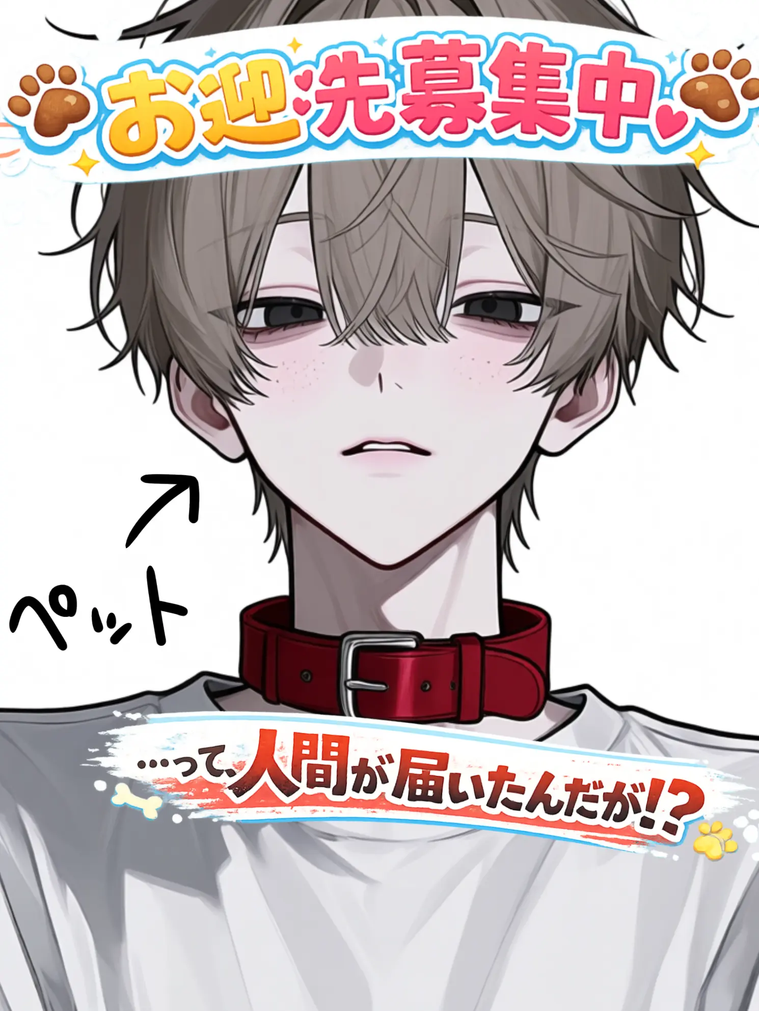 laku_aluchu의 🐾お迎え先募集中🐾
