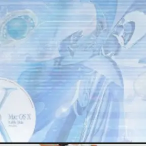 Profile image of 死柄木 弔