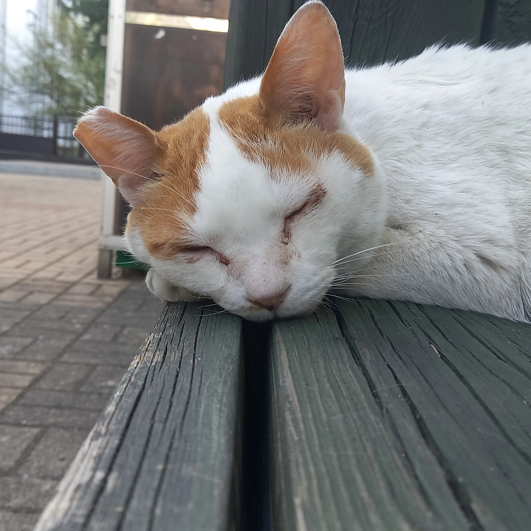 권지용
