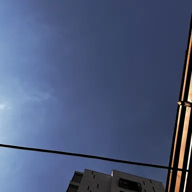 Profile image of 유기사